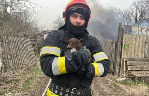 Рятувальники ДСНС на Донеччині вирвали цуценя з лап вогню