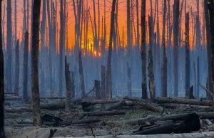 РФ накопичує піхоту в Серебрянському лісі: під загрозою Дронівка, Платонівка та Закітне