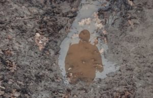 Важлива інформація для родин зниклих безвісти та полонених